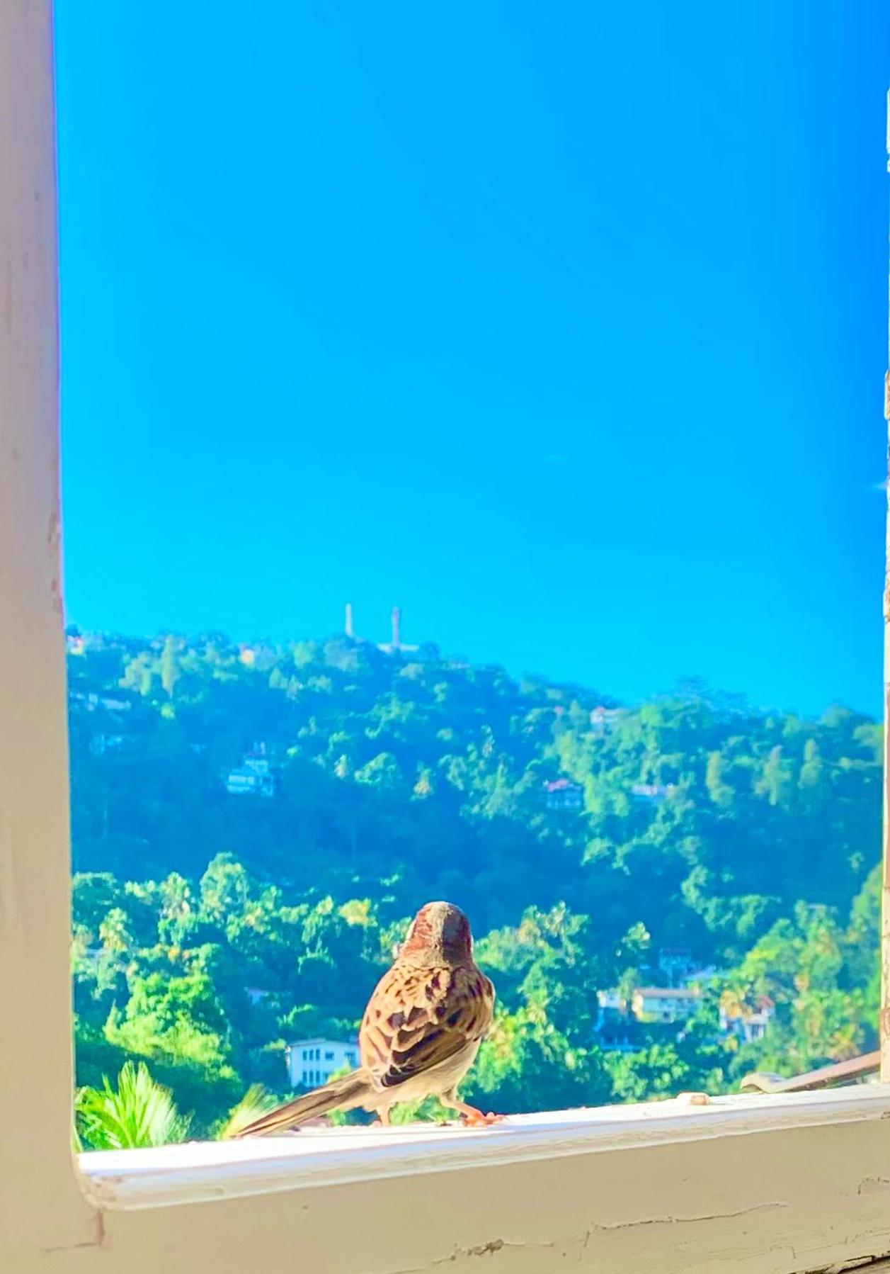 Gangula Villa Kandy Dış mekan fotoğraf